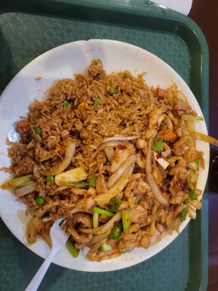 Chicken with Scallion & Fried Rice